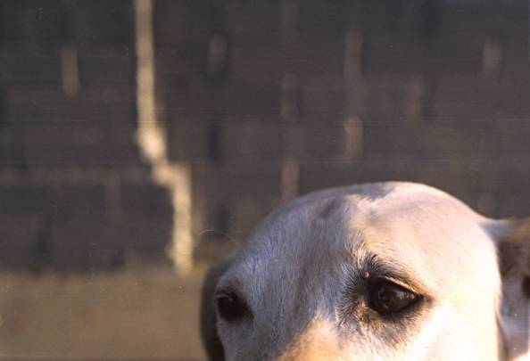 Software: Microsoft Office